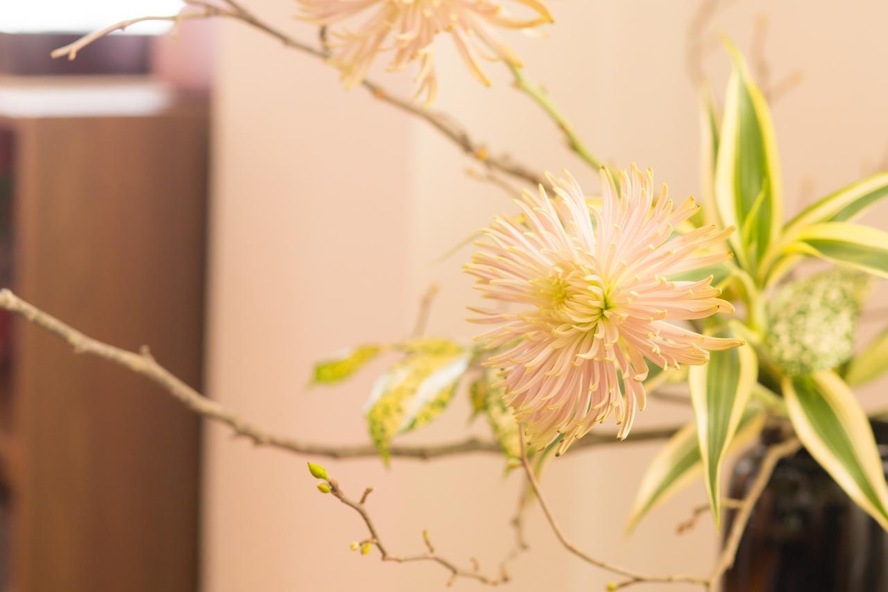 K&K Apartment Kita-Akabane #301 طوكيو المظهر الخارجي الصورة